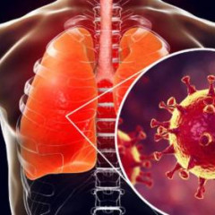 Hong Kong afirma que pacientes recuperados do coronavírus tiveram deterioração da função pulmonar