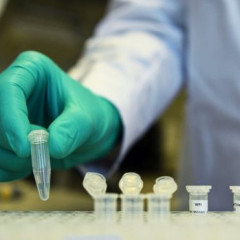 Coronavírus: cientistas descobrem como o corpo combate a covid-19